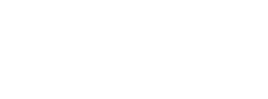 Логотип компании SL Downloads